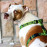 Rogz Нагръдник за кучета с обиколка 45-75 см в кафяв цвят Beach Bum 